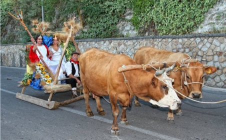 Sagra della Spiga 